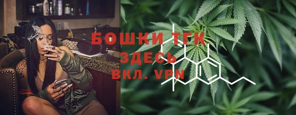 шишки Переславль-Залесский