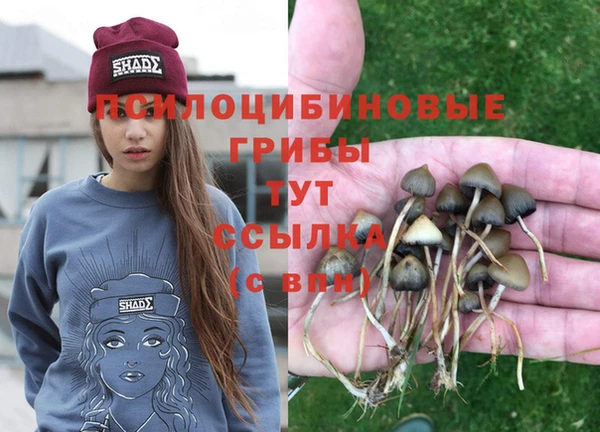 марки lsd Алексин