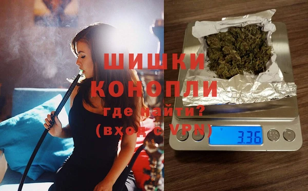 эйфоретик Пересвет