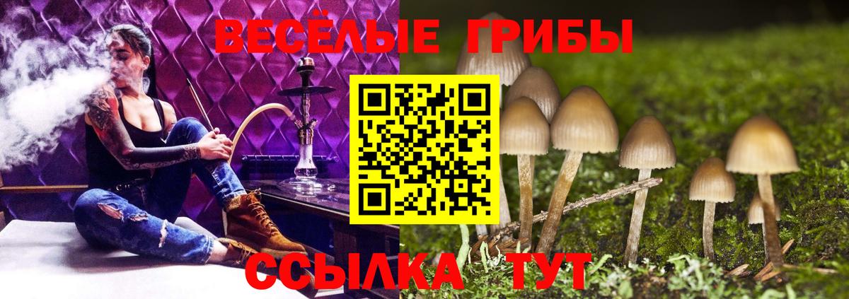 Галлюциногенные грибы Psilocybine cubensis  Псилоцибиновые грибы Psilocybe  Южноуральск  Вход с VPN 