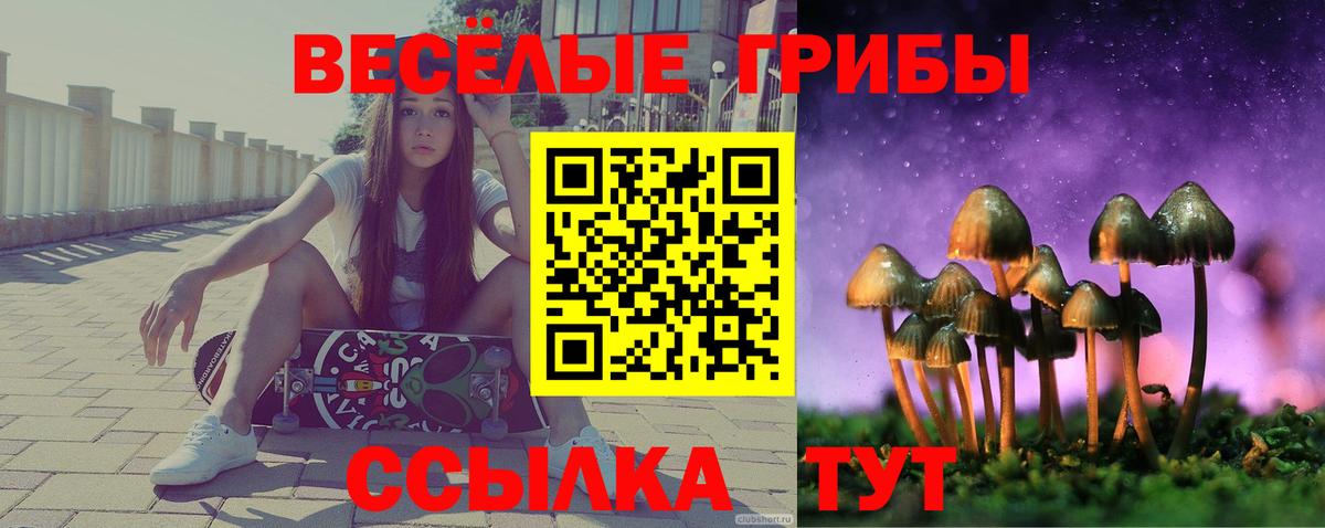 Галлюциногенные грибы прущие грибы Южноуральск